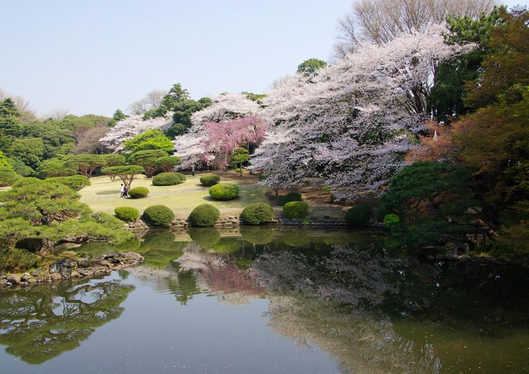Shinjuku Park (Shinjuku Gyoen)